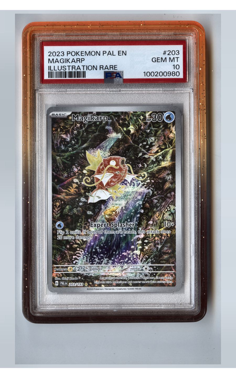 Magikarp - PSA 10 - Paldea Evolved, front