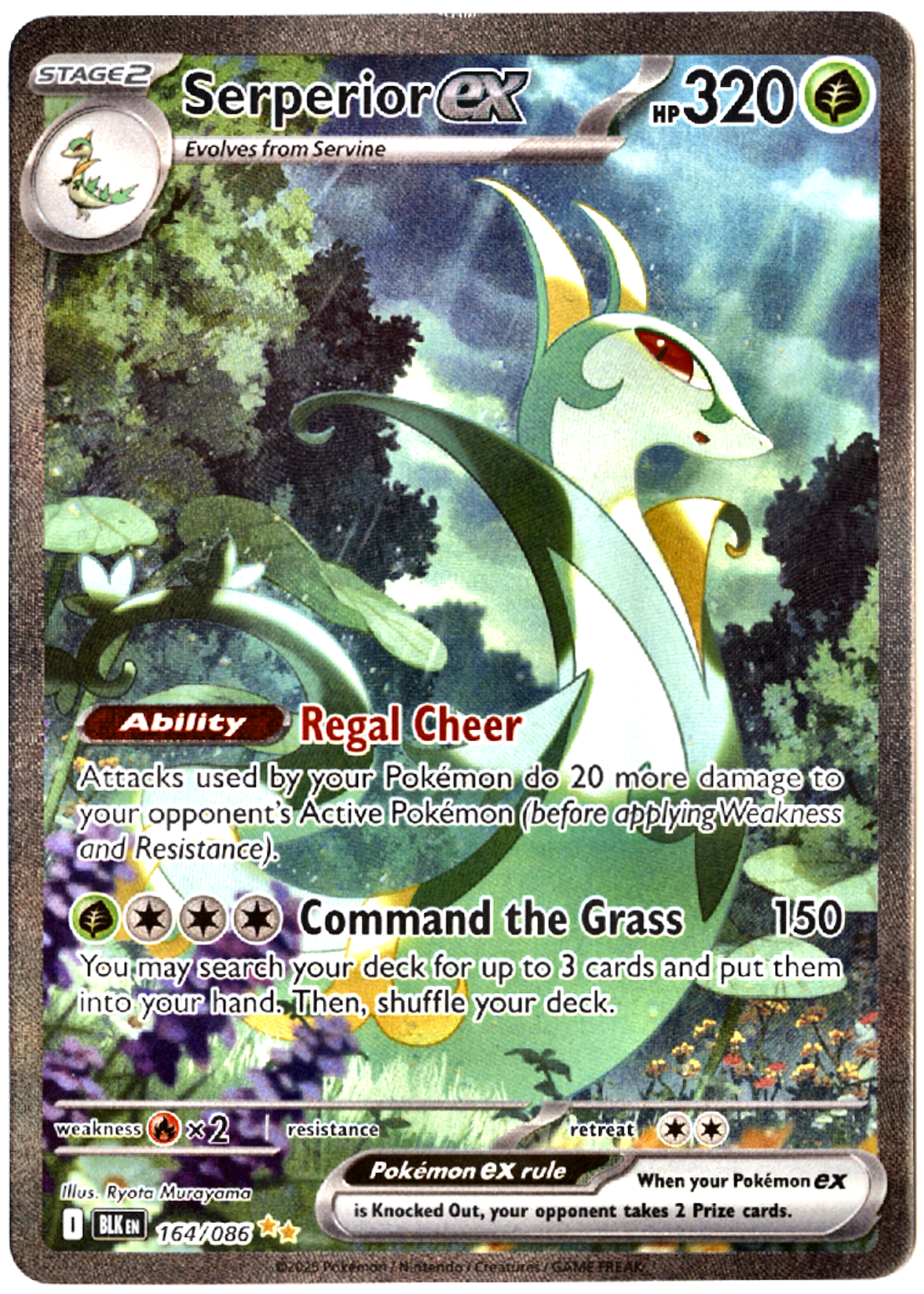 Serperior ex - 164 - Black Bolt - Near Mint — front