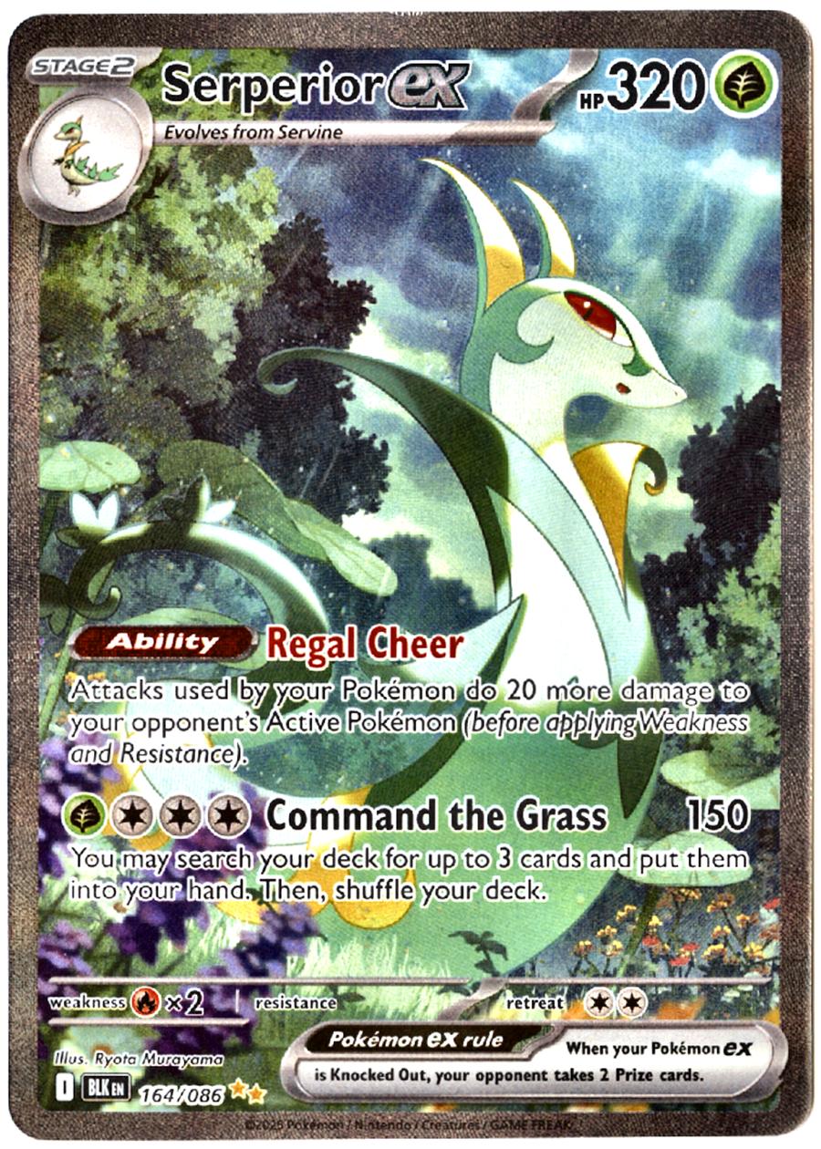 Serperior ex - 164 - Black Bolt - Near Mint — front